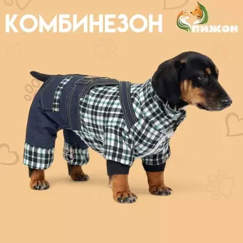 Комбинезон Men, размер L (ДС 35 см, ОГ 45 см, ОШ 35 см), синий