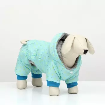 Комбинезон «нежный путь» на меховом подкладе, размер L (ДС 35, ОШ 35, ОГ 45 см), голубой