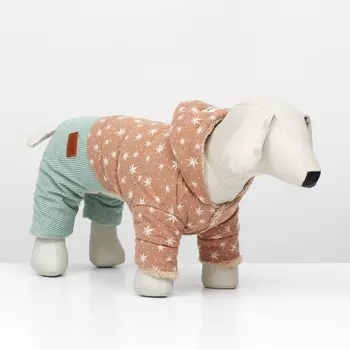 Комбинезон «Прогулка», размер М (ДС 28, ОГ 43, ОШ 30 см, до 6 кг), бежевый/мятный