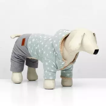 Комбинезон «Прогулка», размер S (ДС 24, ОГ 38, ОШ 27 см, до 4 кг), серо-зелёный