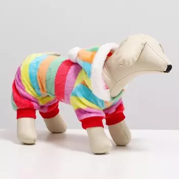 Комбинезон «Радуга» с капюшоном, размер S (ДС 25 см, ОГ 35 см, ОШ 25 см)