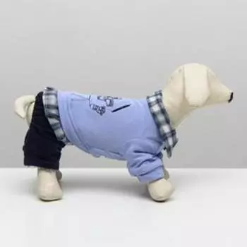 Комбинезон "Рисунок", L (ДС 30 см, ОШ 29 см, ОГ 44 см)