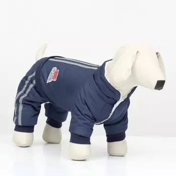 Комбинезон «Спорт» с светоотрожающими полосами, размер 2XL (ДС 45, ОГ 55, ОШ 45 см), т.синий