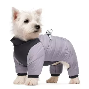 Комбинезон «Тренд», оксфорд, M (ДС 27, ОШ 29, ОГ 38 см, вес 5-8 кг), серый