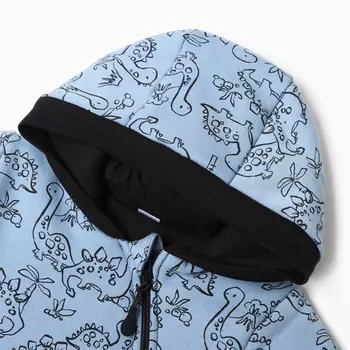 Комбинезон утепленный, цвет голубой/дино, рост 80 см