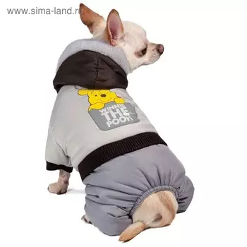 Комбинезон зимний Disney Winnie-the-Pooh, XS (ДС 20 см), серый