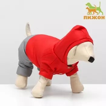 Комбинезон зимний для животных «Дуэт», XS (ДС 18-20, ОШ 24, ОГ 27-30 см), красно-серый
