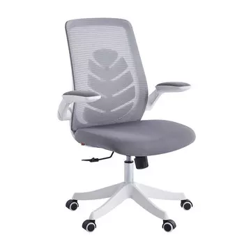 Компьютерное кресло Chairman CH565 белый пластик, серый