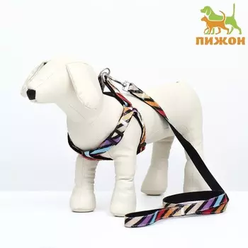 Комплект амуниции двухслойный, размер L, поводок 1202 см, ОШ 31-45 см, ОГ 35-52 см, разноцветный