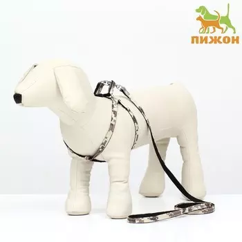 Комплект амуниции двухслойный, размер S, поводок 120х1 см, ОШ 24-38см, ОГ 29-41см, камуфляж