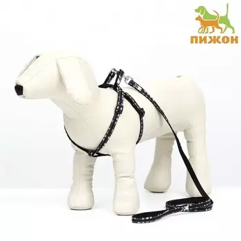 Комплект амуниции двухслойный, размер S, поводок 120 х 1 см, ОШ 24-38 см, ОГ 29-41 см,звёзды