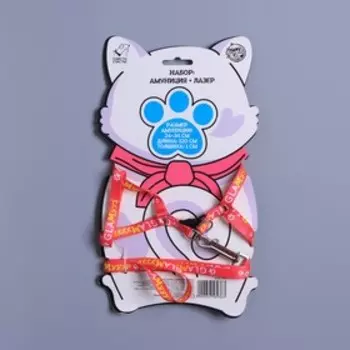 Шлейка для кошки с лазером «GlaМуррр»