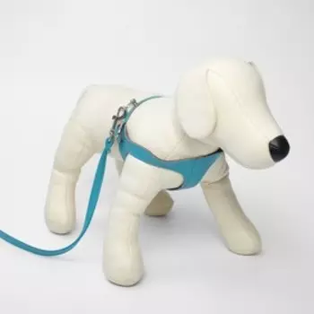 Комплект амуниции из экокожи, бирюзовый (жилетка 28-31 см, поводок 120х1 см)