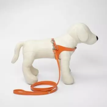 Комплект из экокожи, оранжевый (жилетка 28-31 см, поводок 120х1 см)