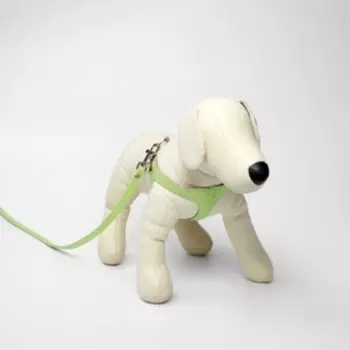 Комплект из экокожи, салатовый (жилетка 28-31 см, поводок 120х1 см)