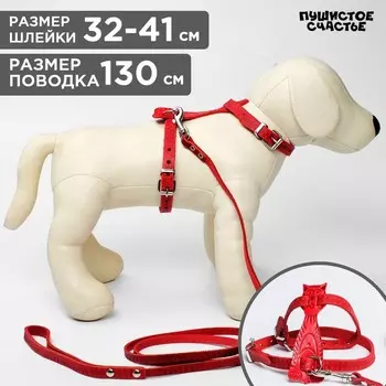Комплект «Кошка», красный (шлейка 32-41х1 см, поводок 130х0.8 см)