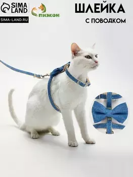 Комплект амуниции «Леди и Джентельмен», поводок 1201 см, синий