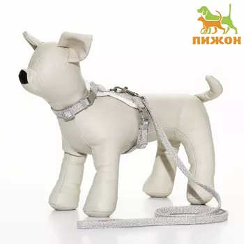 Комплект амуниции "Мышка" с мягкой шлейкой, поводок 120 х 1 см, ОШ 18-22 см, ОГ 24-30 см, серый