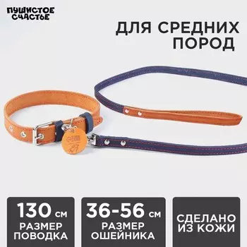 Комплект : ошейник (36-56х2.5 см) и поводок (130х1.5 см), цвет бежевый и синий