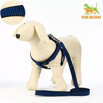 Комплект амуниции рельефный, поводок 1202 см, ОГ 44-50 см, сине-чёрный