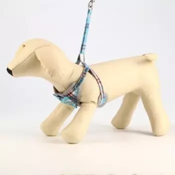 Комплект амуниции с мягкой шлейкой, поводок 1201 см, ОШ 28-54 см, ОГ 36-60 см, серо-голубой