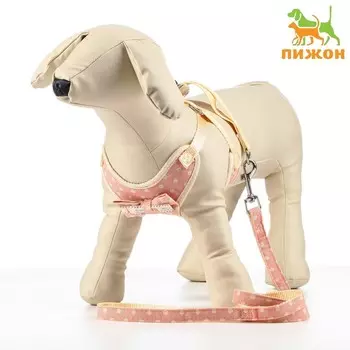 Комплект с мягкой шлейкой «Горох», размер М, поводок 1201.5 см, ОГ 34-66 см, розовый