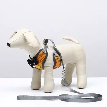 Комплект амуниции с мягкой шлейкой, М, поводок 1201 см, ОШ 28-48 см, ОГ 32-52 см, жёлтый