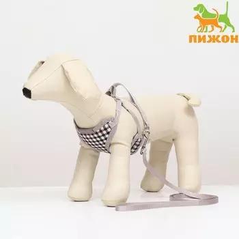 Комплект амуниции с мягкой шлейкой, поводок 1201 см, ОГ 34-58 см, синяя клетка