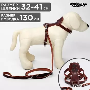 Комплект амуниции «Собака», коричневый (шлейка 32-41х1.2 см, поводок 130х0.8 см)