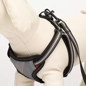 Комплект амуниции светоотражающий, размер S, ОГ 35-60 см, стропа 1.5 см, серый