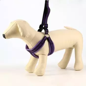 Комплект амуниции мягкий, светоотражающий, поводок 120 х 2 см, ОШ 25-72 см, фиолетовый