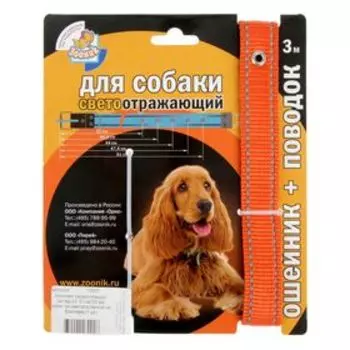 Комплект амуниции светоотражающий "Зооник", ОШ 37-51х2,5 см, поводок 3 м, капрон, оранжевый