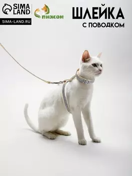 Комплект амуниции «Жаккард», поводок 1201 см, серый