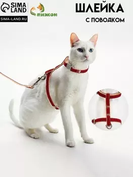 Комплект амуниции «Жаккард», поводок 1201 см, красный