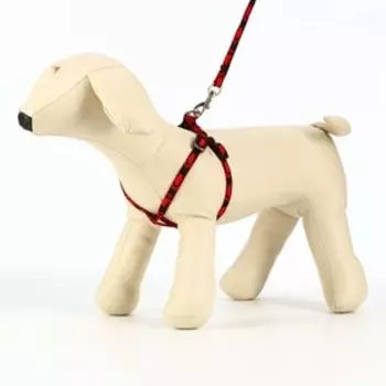Комплект "Большая лапа", ширина 1 см, поводок 120 см, шлейка 25-36 см, красно-чёрный