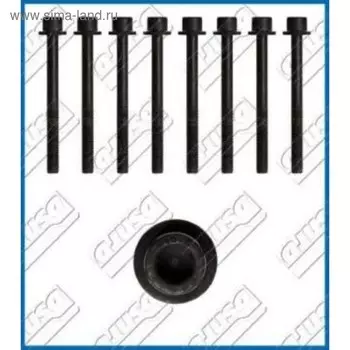 Комплект болтов ГБЦ AJUSA 81047800