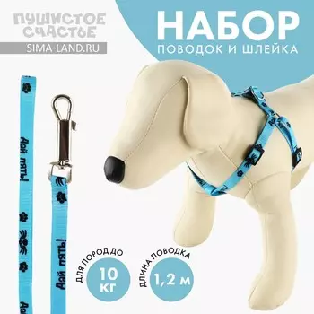 Поводок «Дай пять» 1201 см, шлейка 26-39 см