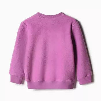 Комплект для детей (свитшот, брюки), цвет фиолетовый, рост 98 см