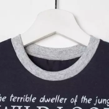 Комплект для мальчика (футболка, шорты), цвет серый, рост 110 см (60)