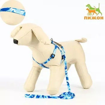 Комплект "Камуфляж", ширина 1 см,шлейка 21-35 см,поводок 120 см,капрон,капрон, сине-голубой