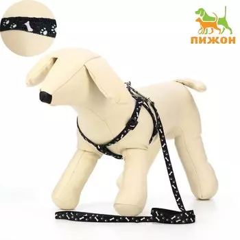 Комплект «Классика», капрон, ширина 1 см, шлейка 28-47 см, поводок 120 см, чёрный