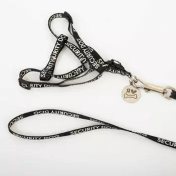 Комплект «Косточка», шлейка 26-39 см, поводок 120х1 см, медальон