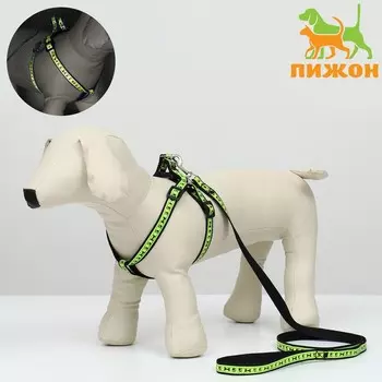 Комплект "Косточки и лапки" светоотражающий, поводок 120 х 1,5 см, ОГ 36-52 см, черный 169989