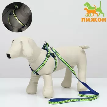 Комплект "Косточки и лапки" светоотражающий, поводок 120 х 1,5 см, ОГ 36-52 см, синий