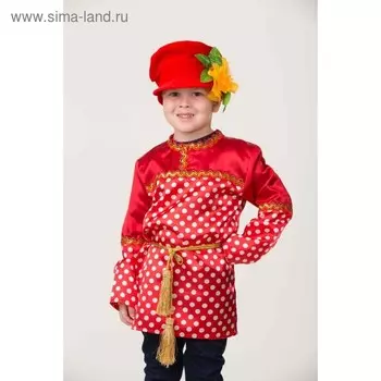 Комплект костюмированный «Кузя» 2044-38