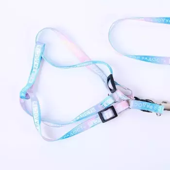 Поводок «Моя радость» 1201 см, шлейка 24-36 см