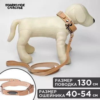 Комплект ошейник (40-54х2.5 см) и поводок (130х1.2 см) рептилия, бежевый