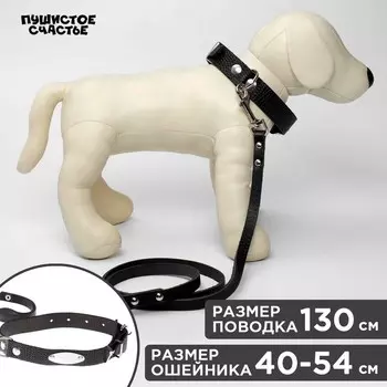 Комплект ошейник (40-54х2.5 см) и поводок (130х1.2 см) рептилия, чёрный