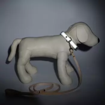 Комплект ошейник (34-45х2 см) светоотражающий и поводок (130х1 см), бежевый