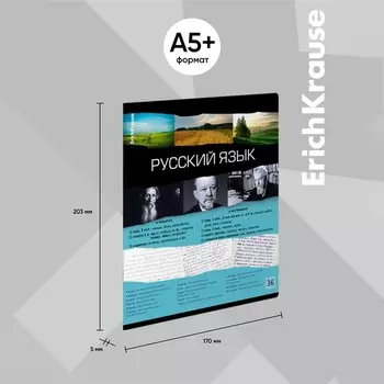 Набор предметных тетрадей 36 листов, ErichKrause Timeline, 12 шт.